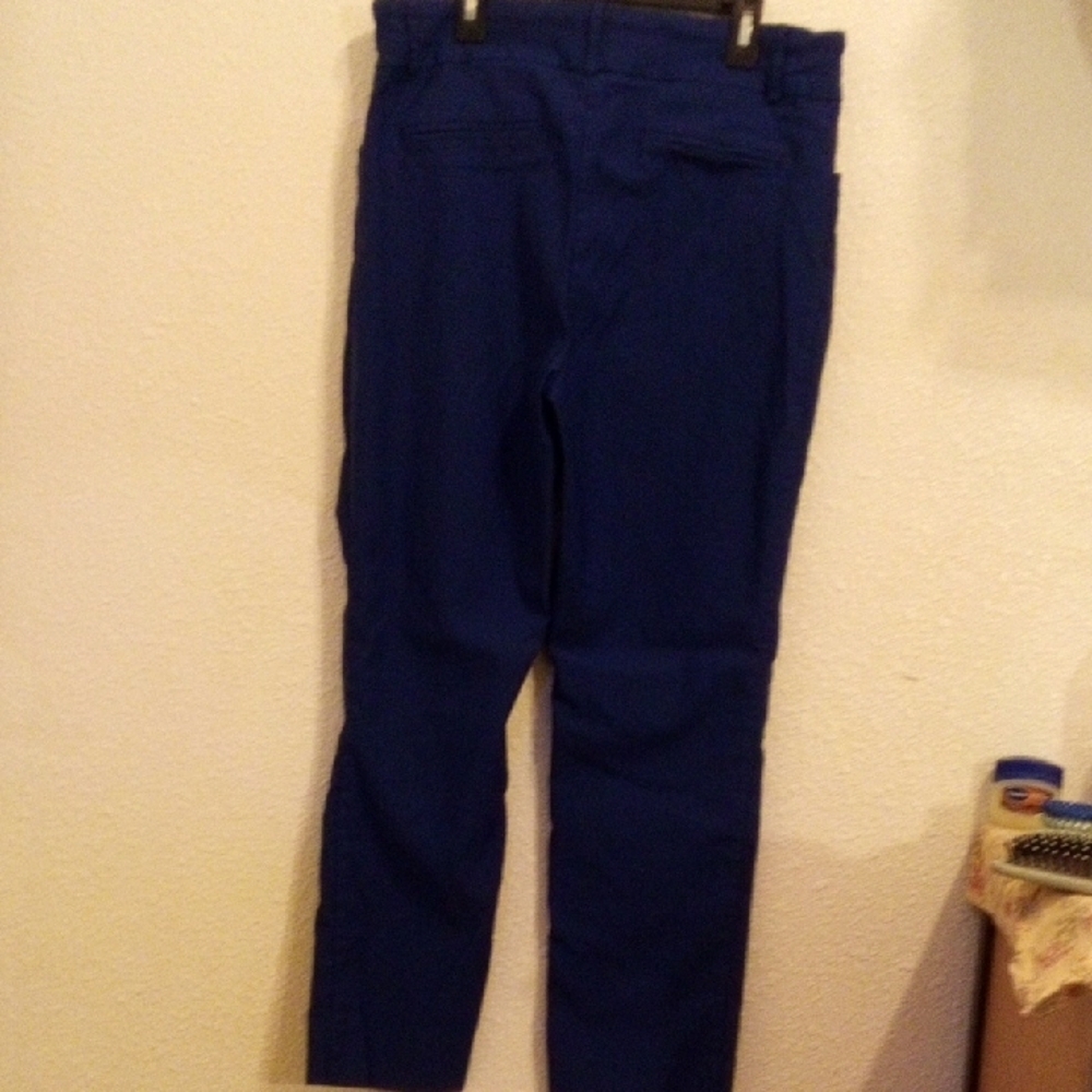 Hilary Radley Royal Blue Pull On Straight Leg Pants Womens Large L/G Stretch - Picture 3 of 5